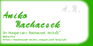 aniko machacsek business card